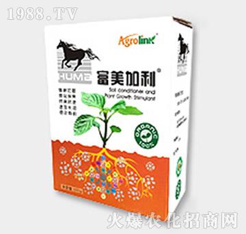 �S������ЙC��-�ڬ�����������-�S(li��n)�r�I(y��)