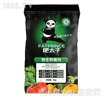 微生物菌劑-肥太子