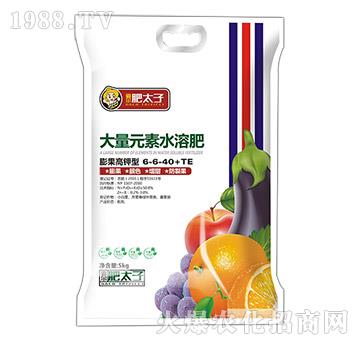 膨果高鉀型大量元素水溶肥6-6-40+TE-肥太子