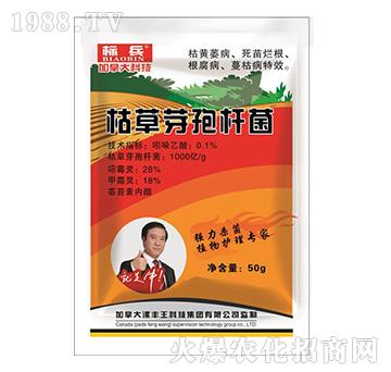 枯草芽孢桿菌-標(biāo)兵-漯豐王