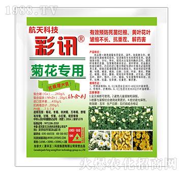 菊花專用抗病增產(chǎn)靈-彩訊-漯豐王