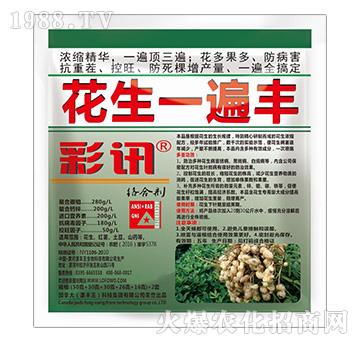 花生一遍豐-彩訊-漯豐王