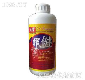 瓶裝根健-標(biāo)兵-漯豐王