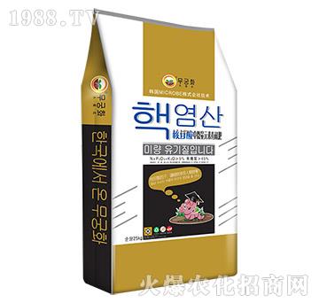 ��������΢��Ԫ���ЙC(j��)��-����