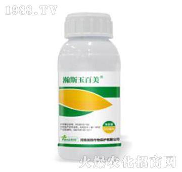 15%���ǲ�ͪ-�˹��