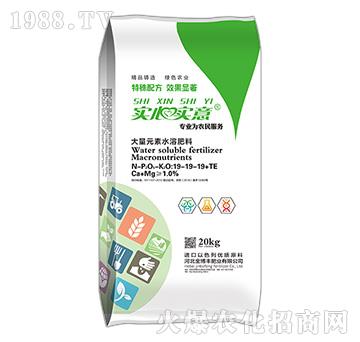 大量元素水溶肥料19-19-19+TE-實心實意-金博豐