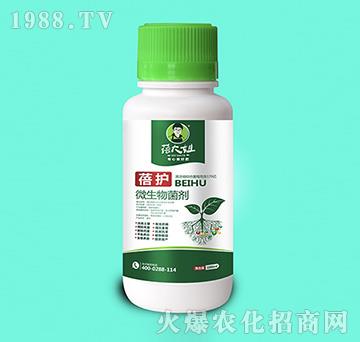 微生物菌劑-蓓護(hù)-蓓大姐