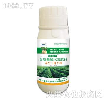 花生下針專用含氨基酸水溶肥料-喜胖墩-愛地生