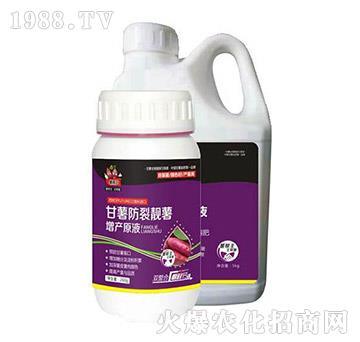 甘薯防裂靚薯原液-薯幫主-升華永樂