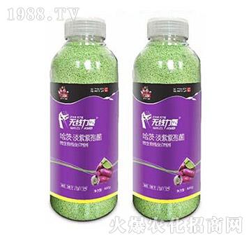 無(wú)線力量-薯幫主-升華永樂