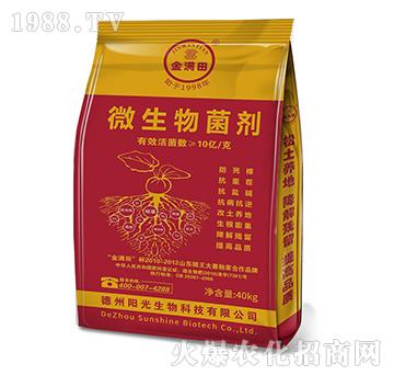 ΢�������-��M��-ꖹ�����