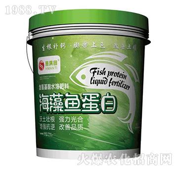 含氨基酸水溶肥料-海藻魚蛋白-施滿田