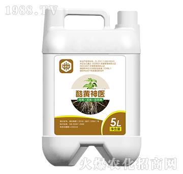 ���S���t(y��)�������������ã�-��ֲ(li��n)��