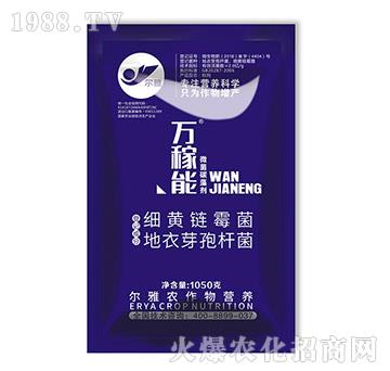 ΢��̼�儩-�f����-Ǭ�r(n��ng)