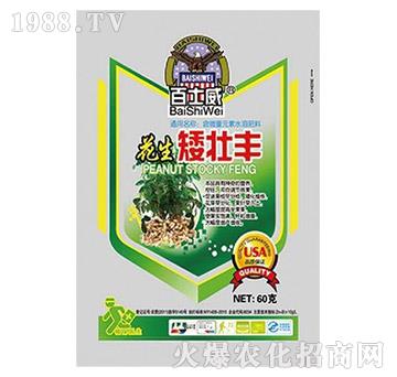 花生矮壯豐-百士威