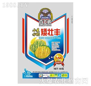 小麥水稻矮壯豐-百士威