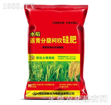 ˮ��������Y��辷�-��