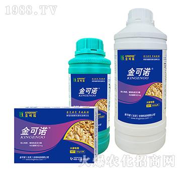 大姜專用-金可諾