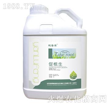 促根生-艷魯豐-宏達生物