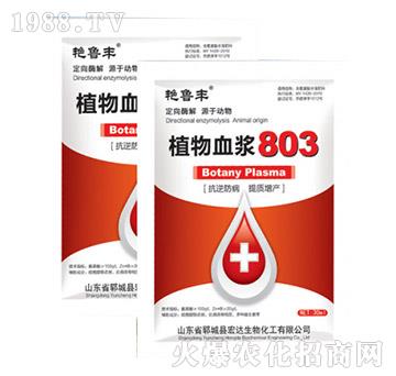 ֲ��Ѫ�{803-�G���S-���_����