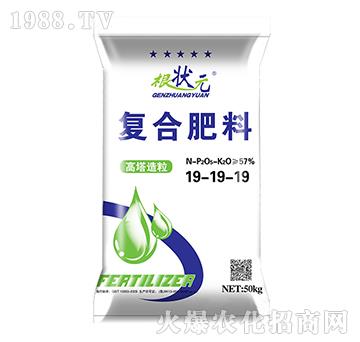 ���������ͺϷ���19-