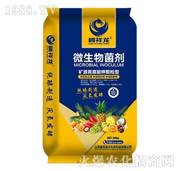 ΢�������-������-ʢ���{(l��n)��