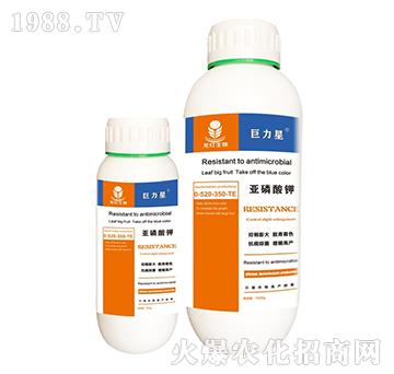 亞磷酸鉀0-520-350+TE-巨力星-龍燈生物