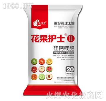 ���}�V��-�����oʿ��-������