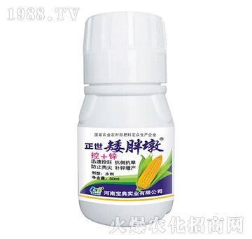 正世矮胖墩-寶典實(shí)業(yè)