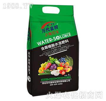 含腐植酸水溶肥料-中核壹益