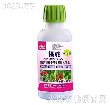 高產(chǎn)辣椒專用氨基酸水溶肥-福駝-愛(ài)農(nóng)斯達(dá)