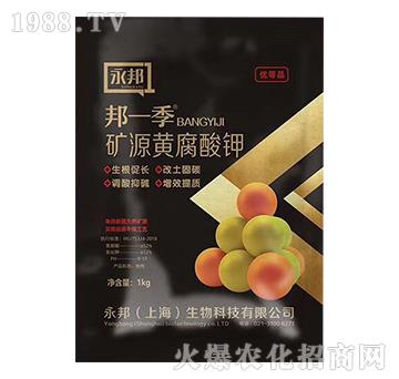 礦源黃腐酸鉀-邦一季-永邦生物