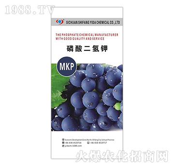 ��������-�����_(d��)