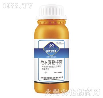 �������ð�N��-���o(w��)���x(ch��ng)-��(gu��)�S���@