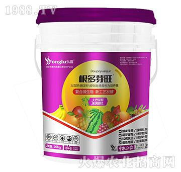 ����ѿ��-���r��¶