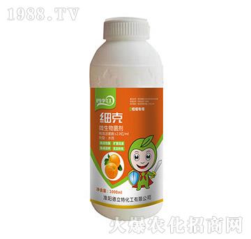 ����-�ļ��t-������