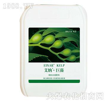 �ЙCˮ�ܷ���-���{������-���㺣