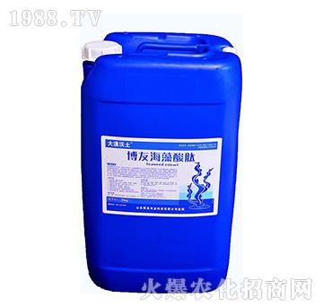 ���Ѻ�������-��Į����-�����r�I(y��)