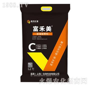 ������-��ֳ���w��-����