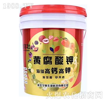 海藻高鈣高鉀-黃腐酸鉀-沃爾壯-寧奧生物