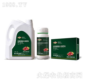 荔枝、龍眼專用含氨基酸水溶肥料-霸爾綠博