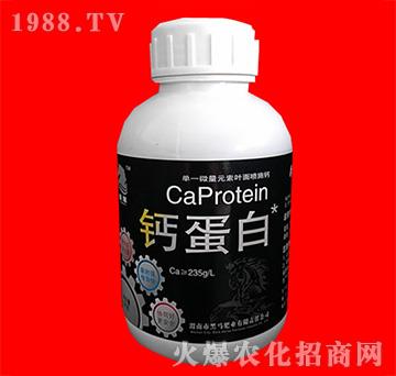 鈣蛋白-黑馬肥業(yè)