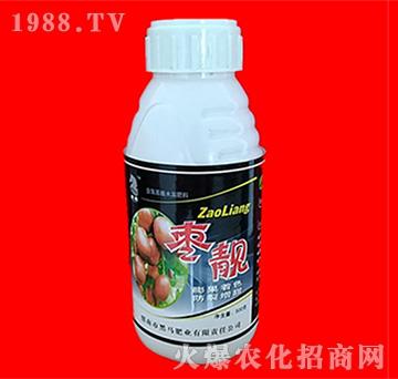 棗靚-黑馬肥業(yè)