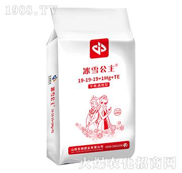 大量元素水溶肥料19-19-19+1Mg+TE-冰雪公主-東錦肥業(yè)