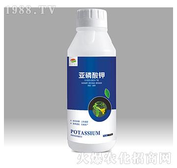 �������0-550-300+TE-��������