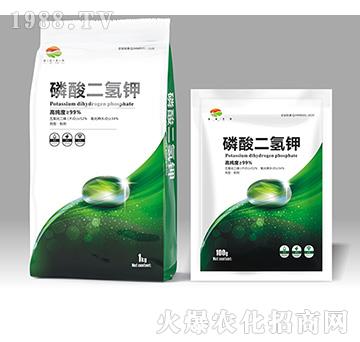 ��������-��������