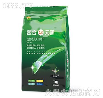 ΢��Ԫ��ˮ�ܷ���-����13Ԫ��-��������