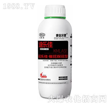 �߻�������-������-��������-��ķ�R