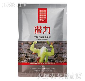 С��������������-����-ꖹ�G��