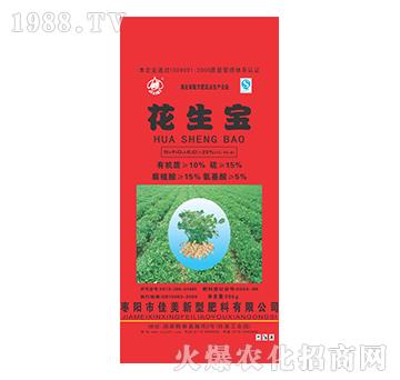 花生寶-佳美
